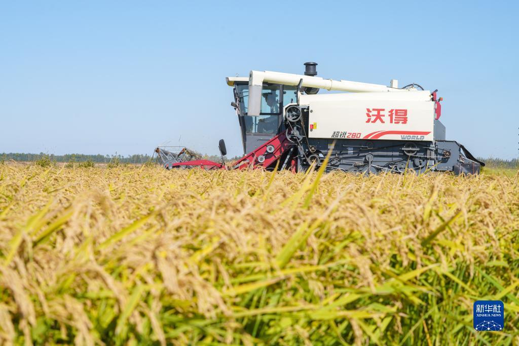 ag金龙珠